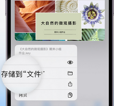 龙川apple维修中心分享iPhone文件应用中存储和找到下载文件