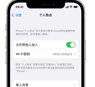 龙川apple服务站点分享iPhone上个人热点丢失了怎么办 