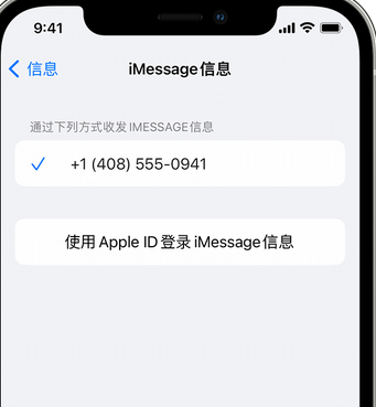 龙川apple维修iPhone上无法正常发送iMessage信息 