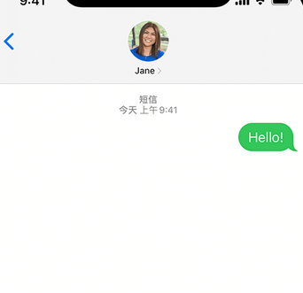 龙川apple维修iPhone上无法正常发送iMessage信息