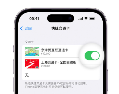 龙川apple维修点分享iPhone上更换Apple Pay快捷交通卡手绘卡面 