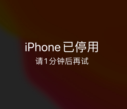 龙川苹果手机维修分享:iPhone 显示“不可用”或“已停用”怎么办？还能保留数据吗？ 