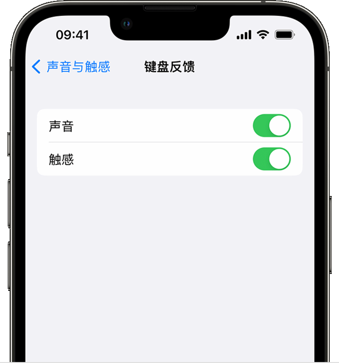 龙川苹果14维修店分享如何在 iPhone 14 机型中使用触感键盘 