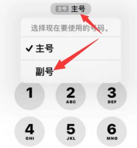 龙川苹果14维修店分享iPhone 14 Pro Max使用副卡打电话的方法 