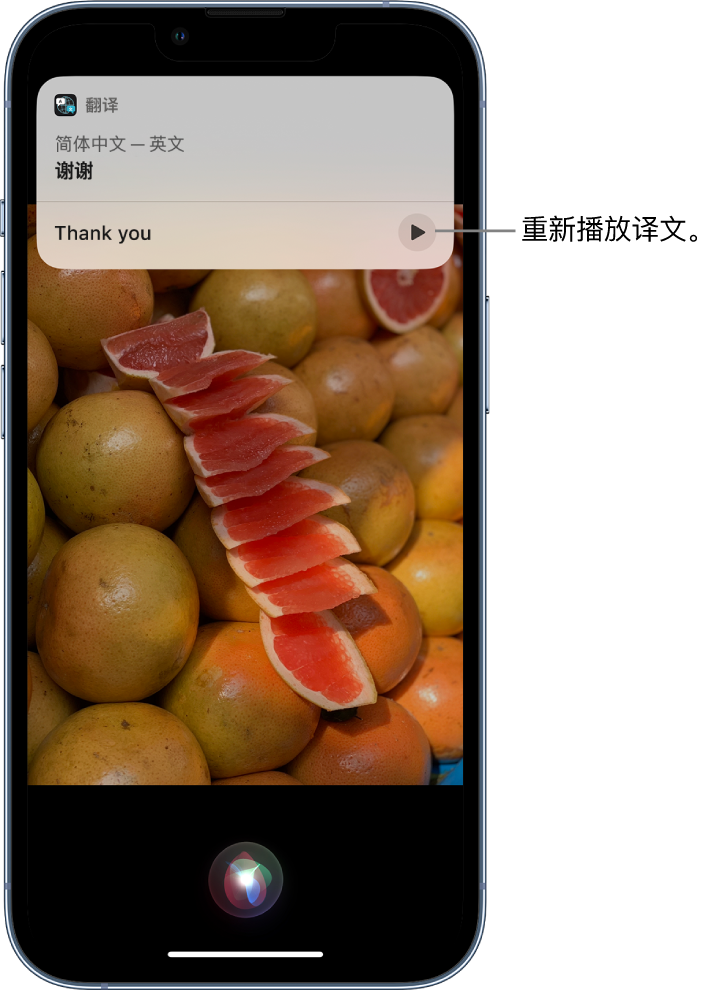 龙川苹果14维修分享 iPhone 14 机型中使用 Siri：了解 Siri 能帮你做什么 