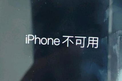 龙川苹果服务网点分享锁屏界面显示“iPhone 不可用”如何解决 