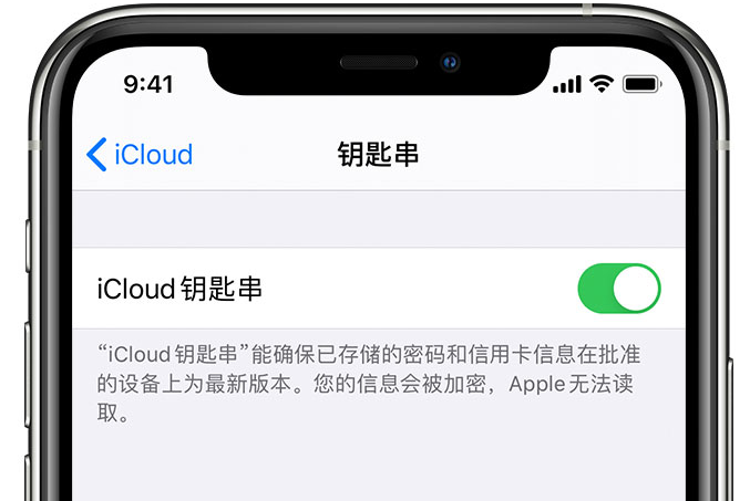 龙川苹果手机维修分享在 iPhone 上开启 iCloud 钥匙串之后会储存哪些信息 