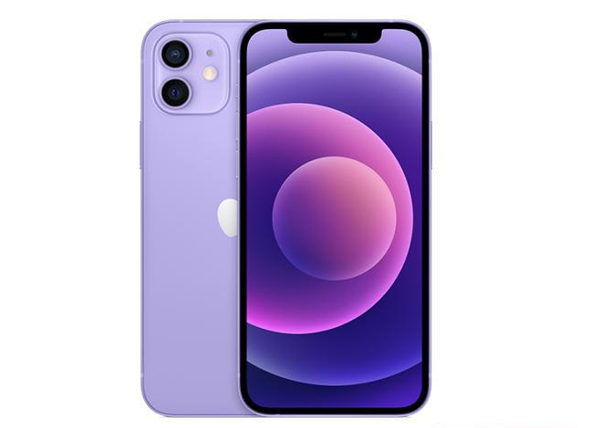 龙川苹果手机维修分享现阶段要不要入手紫色版iPhone12 