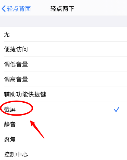 龙川苹果手机维修分享iPhone12如何启用双击截屏 